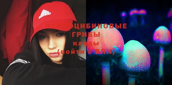 прущие крисы Иноземцево