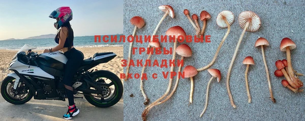 a pvp Тайга