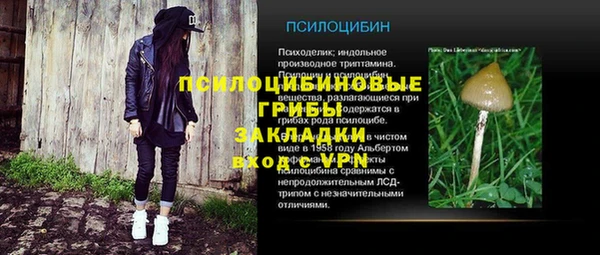 дживик Осинники
