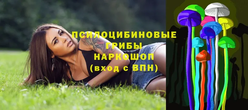 Галлюциногенные грибы Psilocybine cubensis  Алейск 