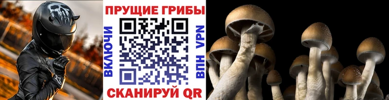 Галлюциногенные грибы ЛСД  Алейск 
