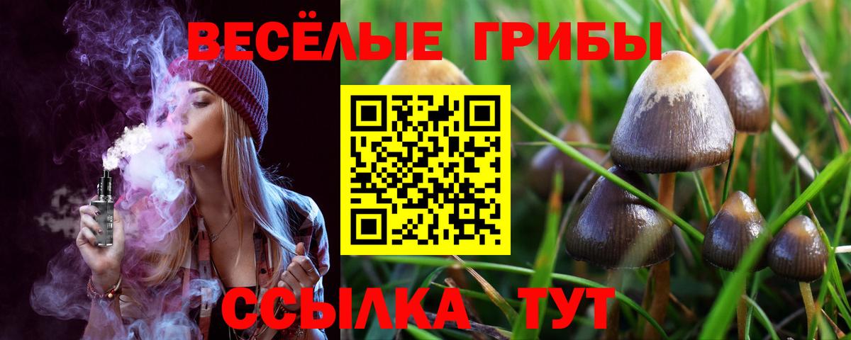 Галлюциногенные грибы Psilocybine cubensis  Вход с VPN  Псилоцибиновые грибы MAGIC MUSHROOMS  Алейск 