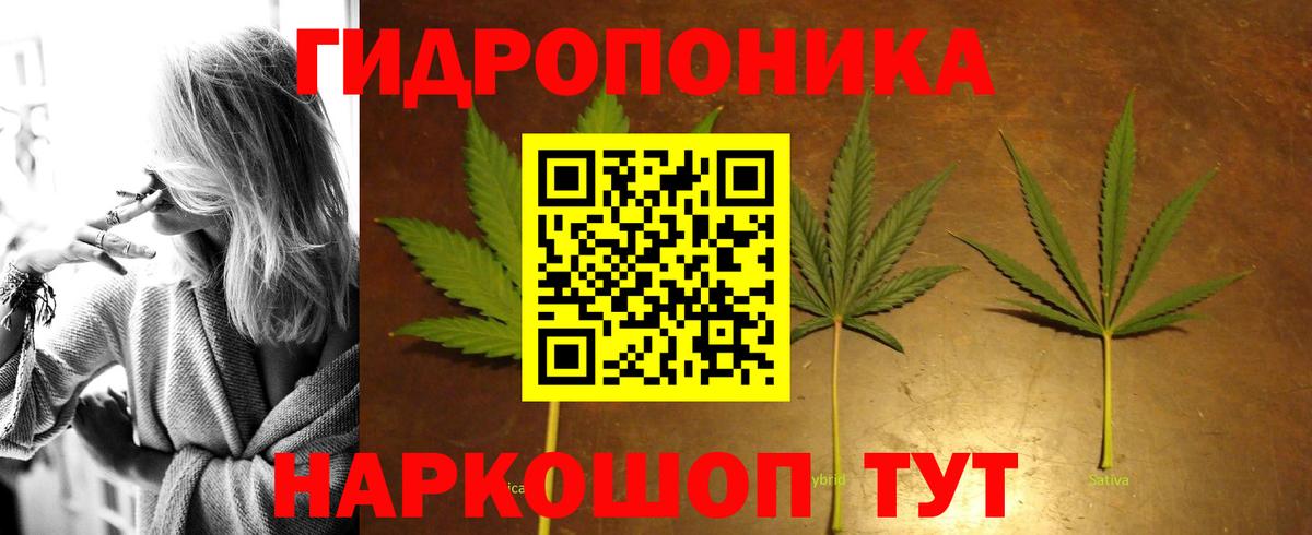 Конопля OG Kush  Бошки марихуана ГИДРОПОН  Алейск  Шишки марихуана Ganja 